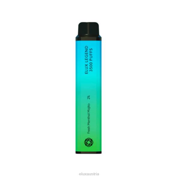 frischer Menthol-Mojito